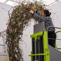 26 Akh Blumen Aufbau 021