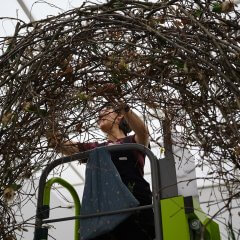 26 Akh Blumen Aufbau 038