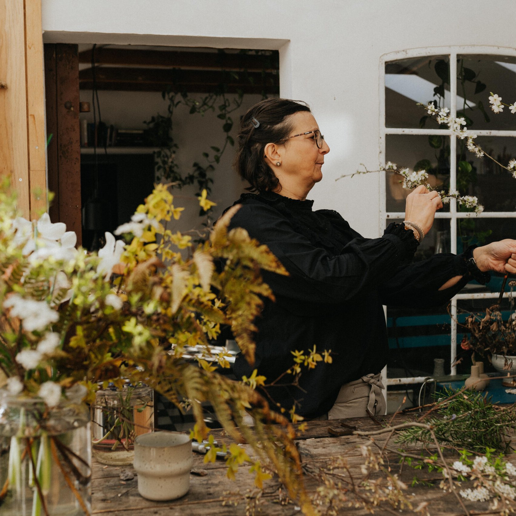 HighlightsDSZ 7421 HighlightsDSZ 7421